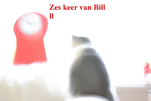 Zes keer van Bill II
