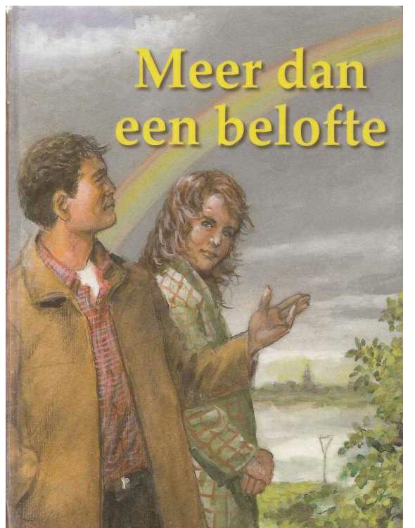 Meer dan een belofte - Ali C. Drost-Brouwer