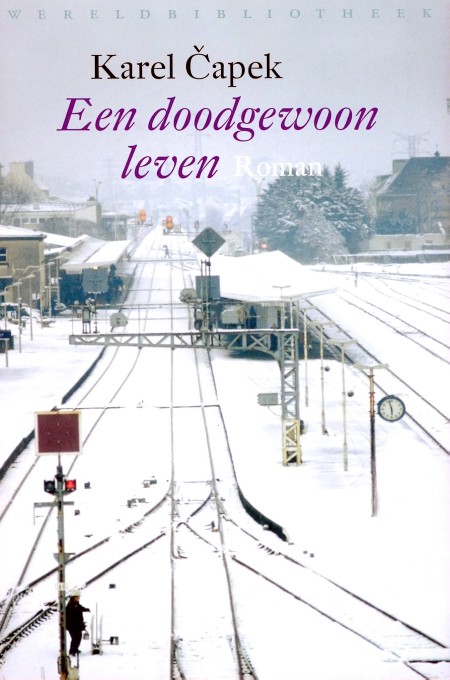 Een doodgewoon leven