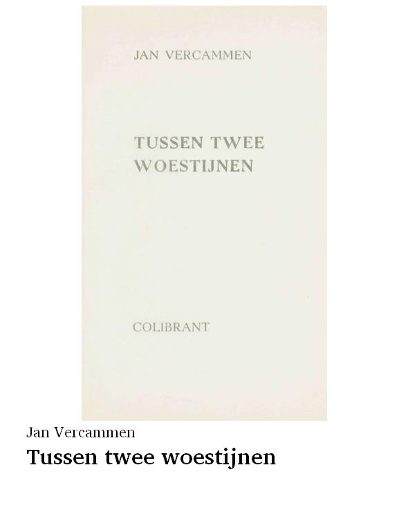 Tussen twee woestijnen