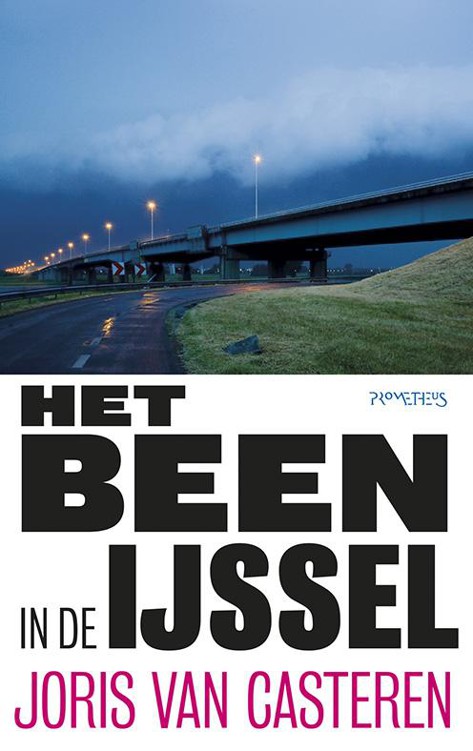 Het been in de IJssel