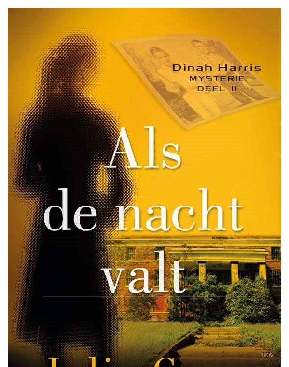 Als de nacht valt