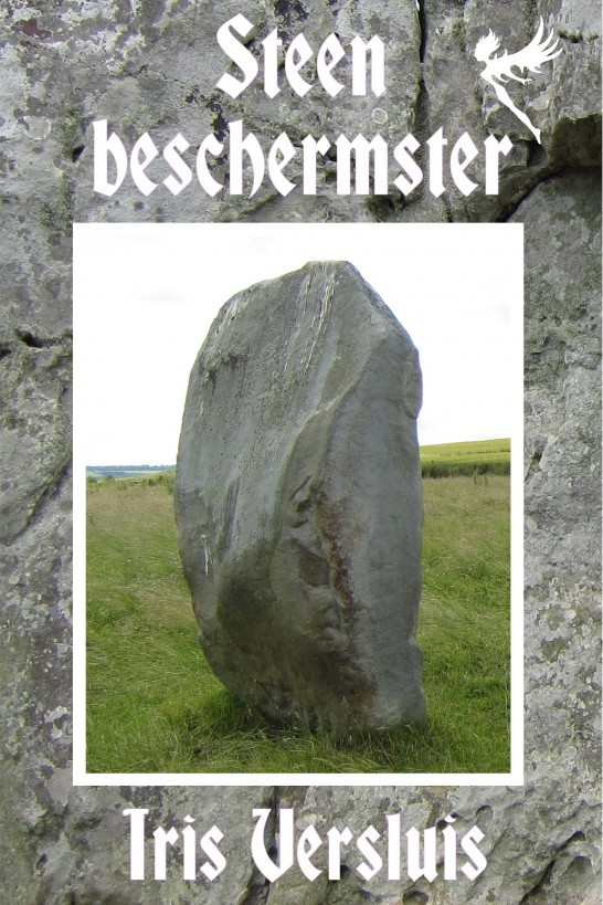 Steenbeschermster