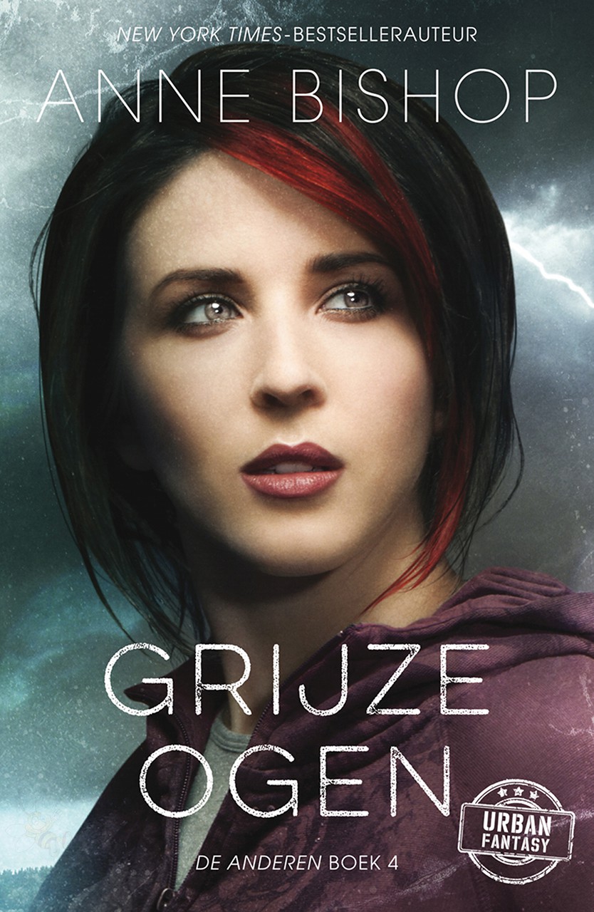 Grijze ogen (De Anderen boek 4)