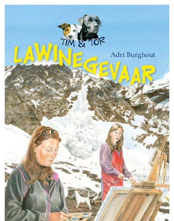 Lawine gevaar