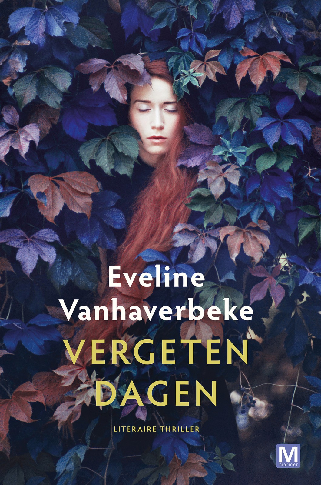 Vergeten dagen