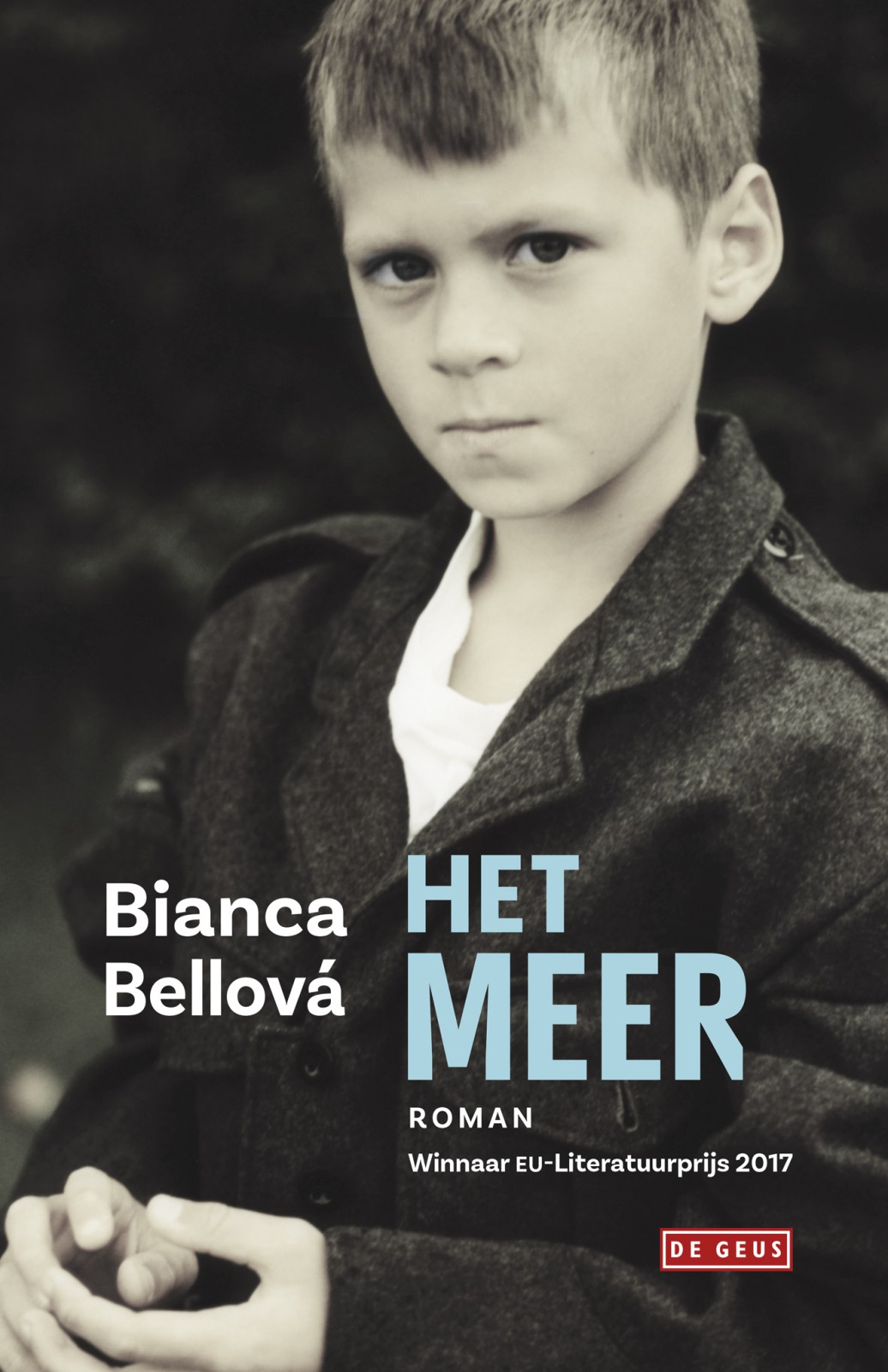 Het meer