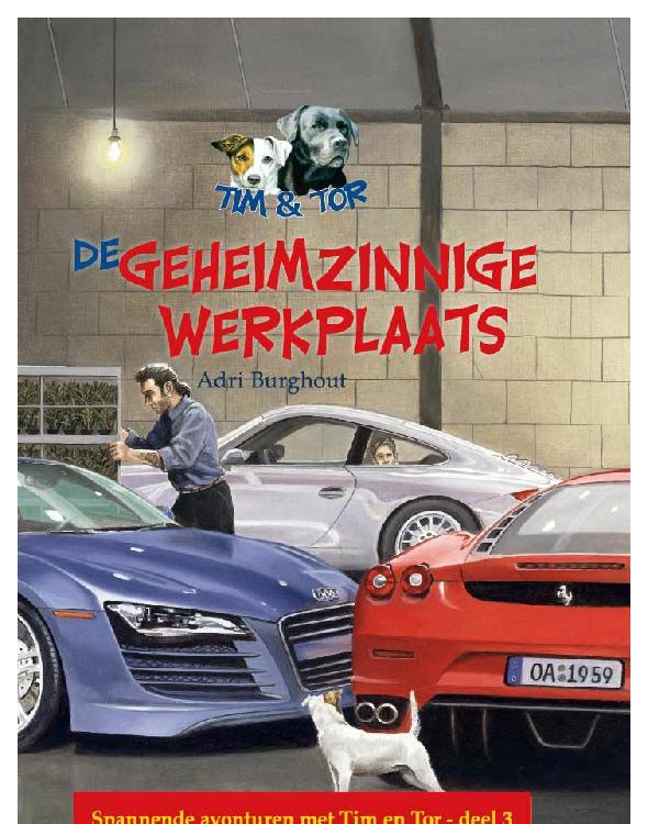De geheimzinnige werkplaats