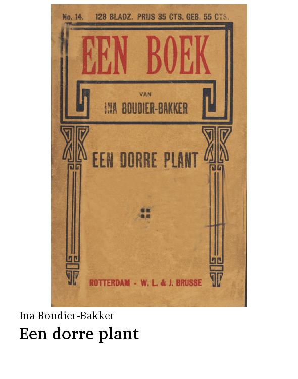 Een dorre plant