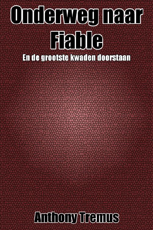 Onderweg naar Fiable