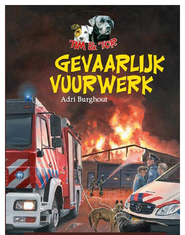 Gevaarlijk vuurwerk