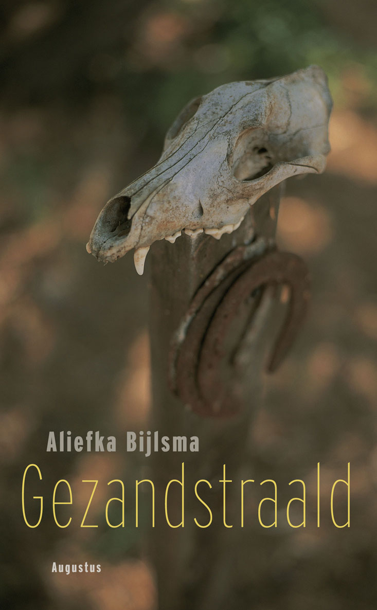Gezandstraald