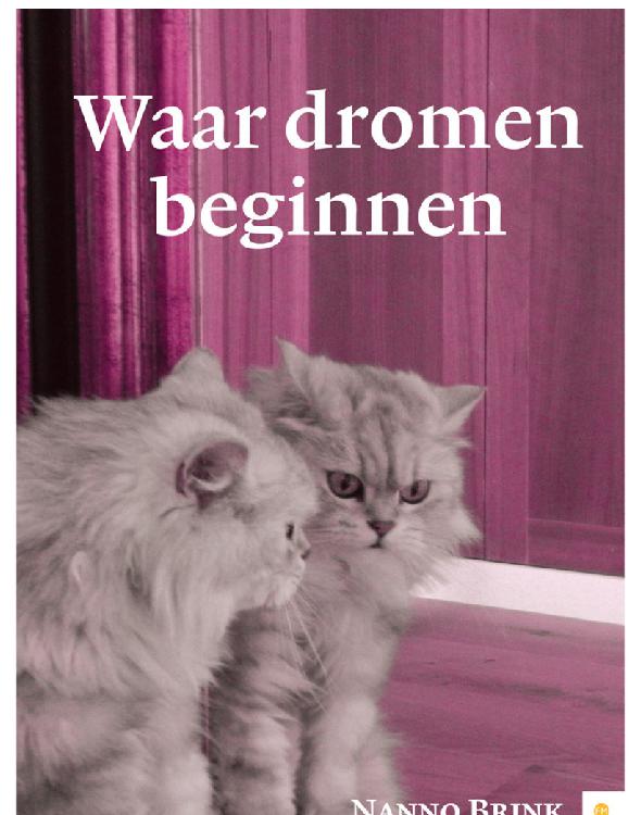 Waar dromen beginnen