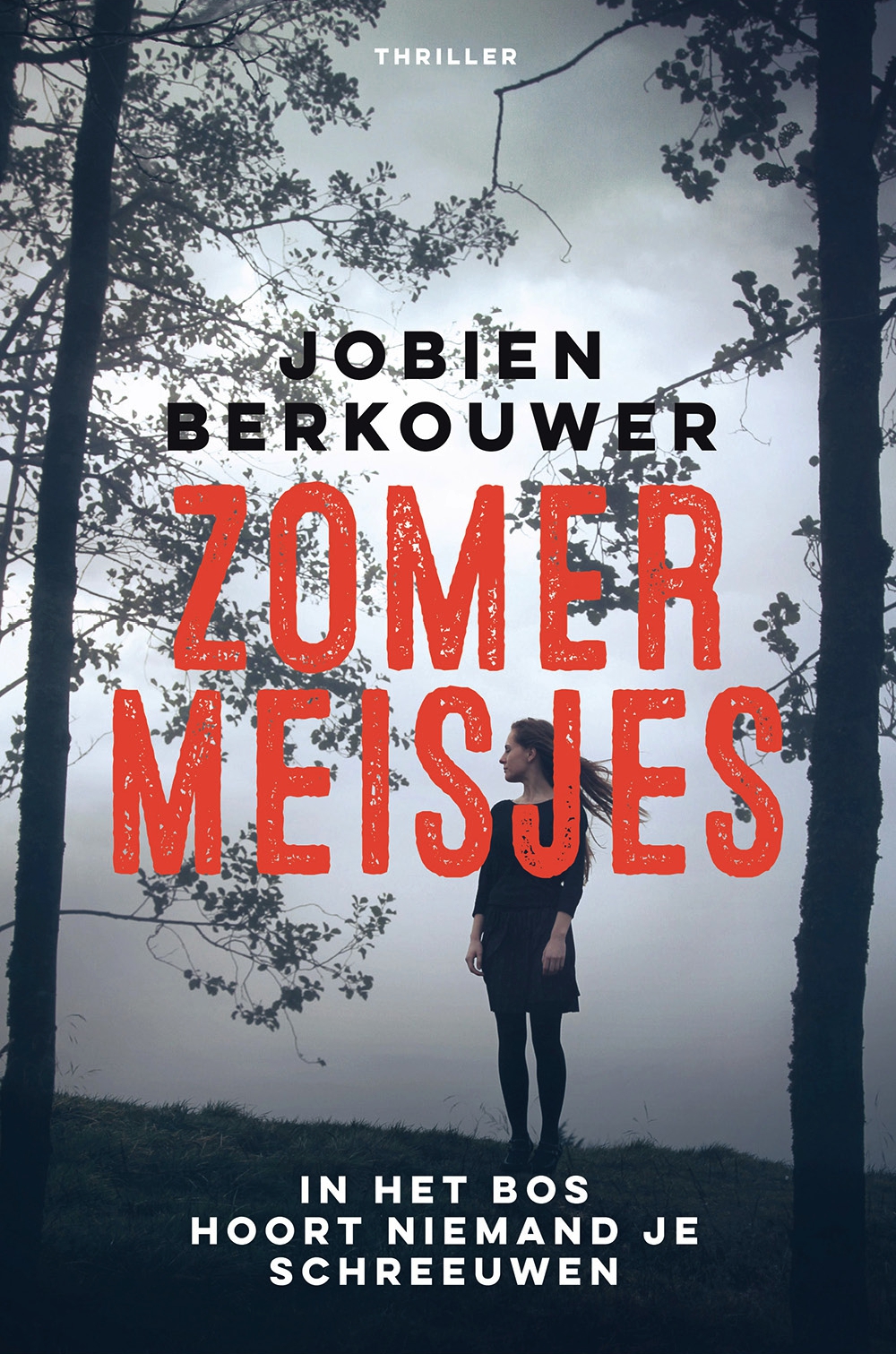 Zomermeisjes (2016)