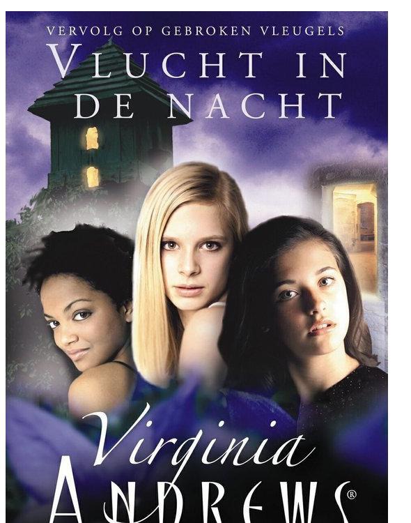 Vlucht in de nacht