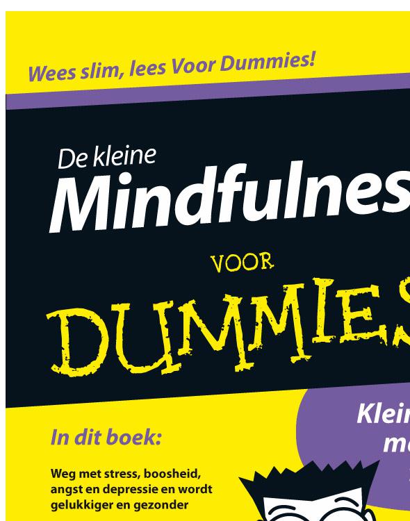 De kleine mindfulness voor Dummies