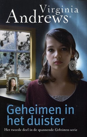Geheimen 02 - Geheimen In Het Duister