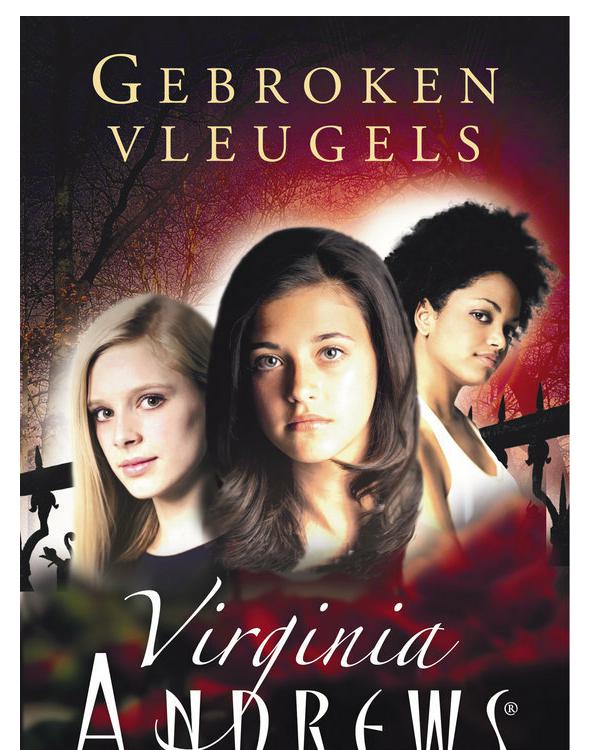 Gebroken Vleugels 01 - Gebroken Vleugels (Broken Wings)