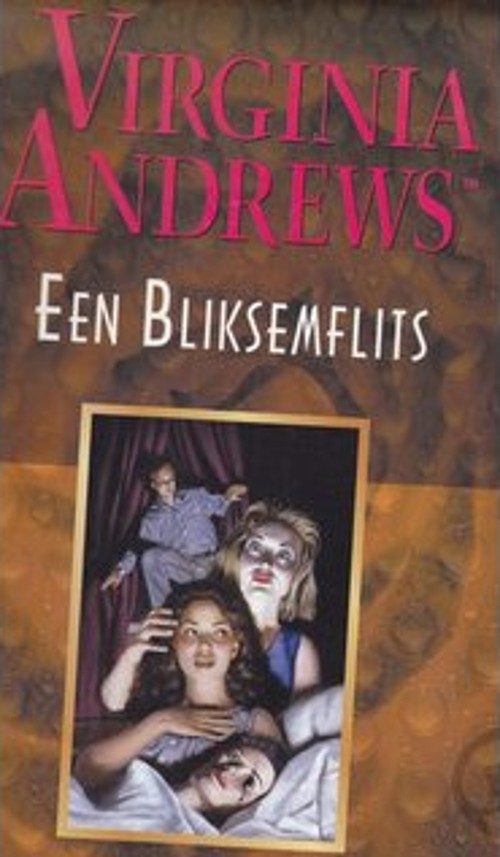 Een bliksemflits