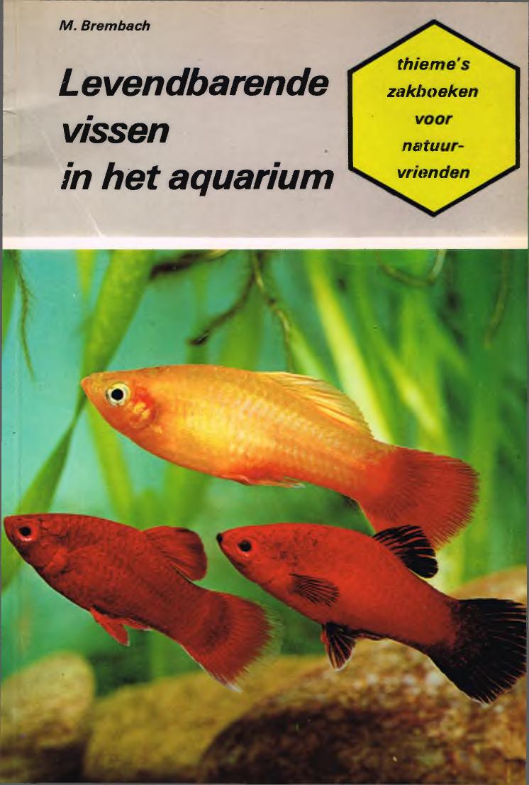 Levendbarende Vissen In Het Aqu