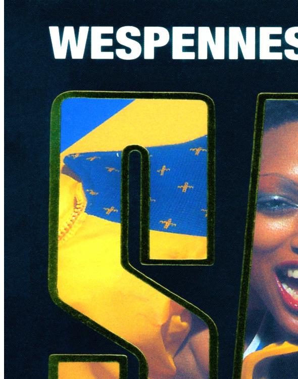 Wespennest in Angola