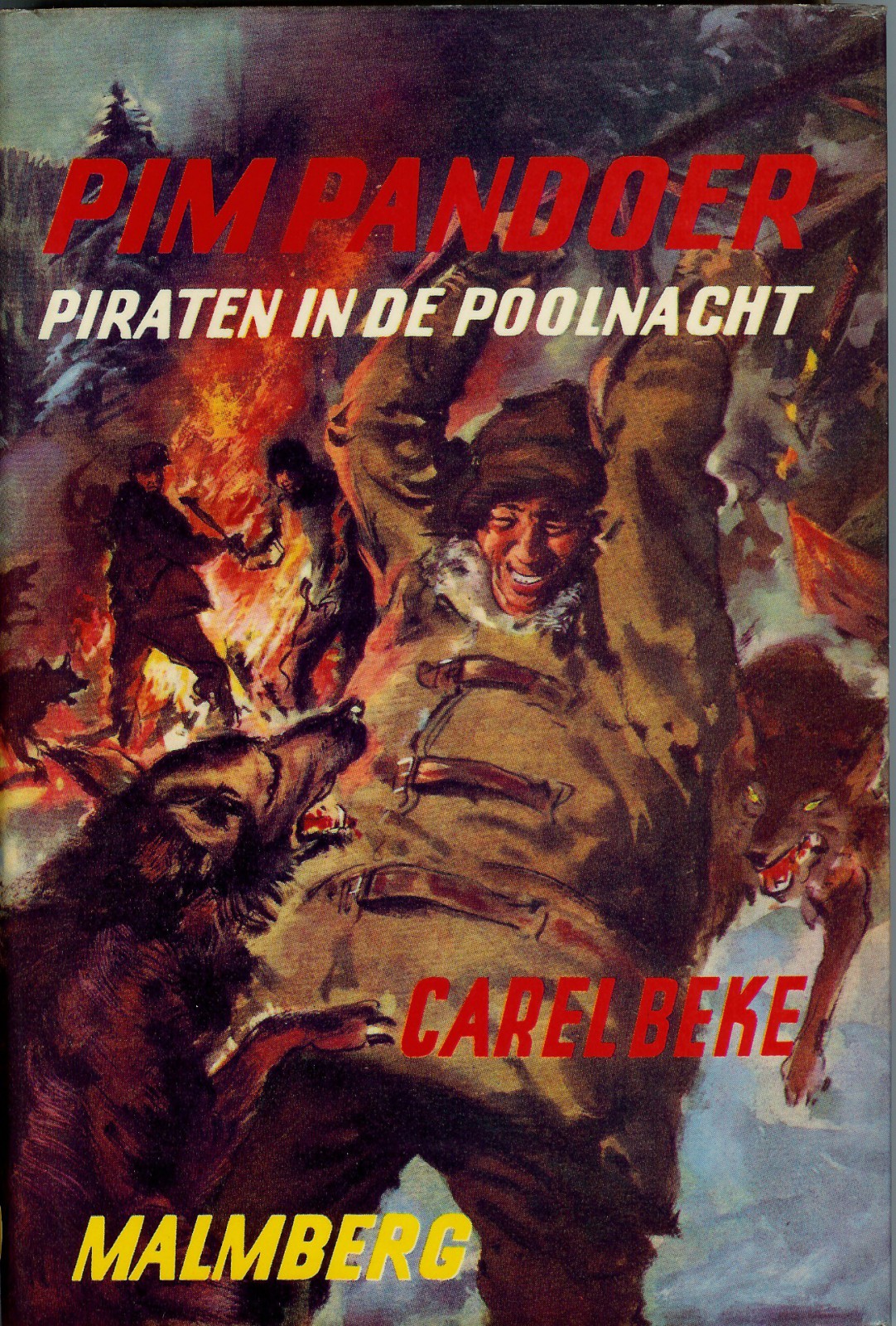 Piraten in de poolnach
