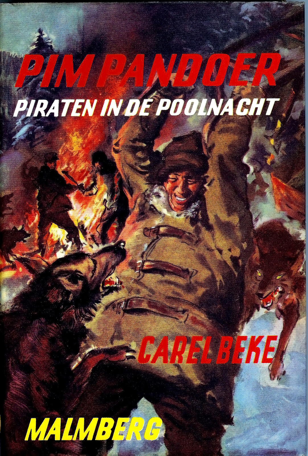 Piraten in de Poolnacht