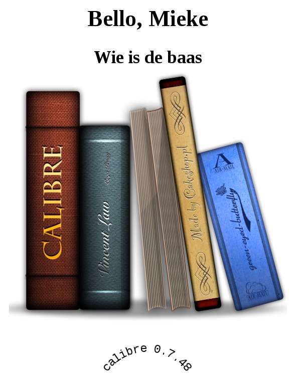 Wie is de baas