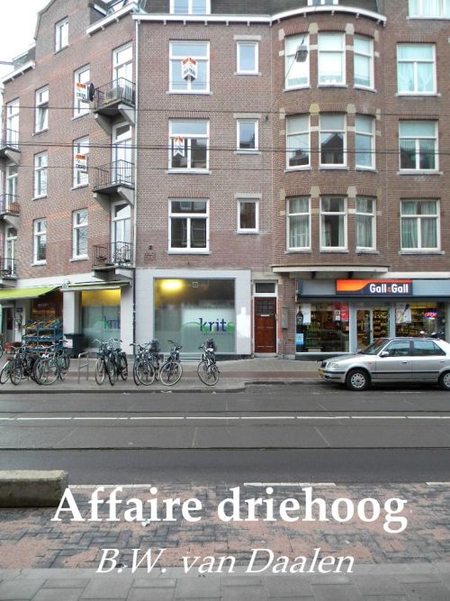 Affaire Driehoog (NL, 1987)