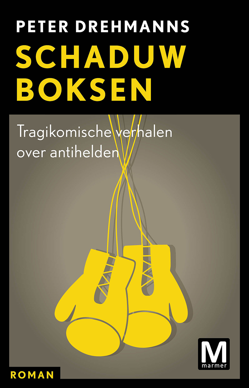 Schaduwboksen