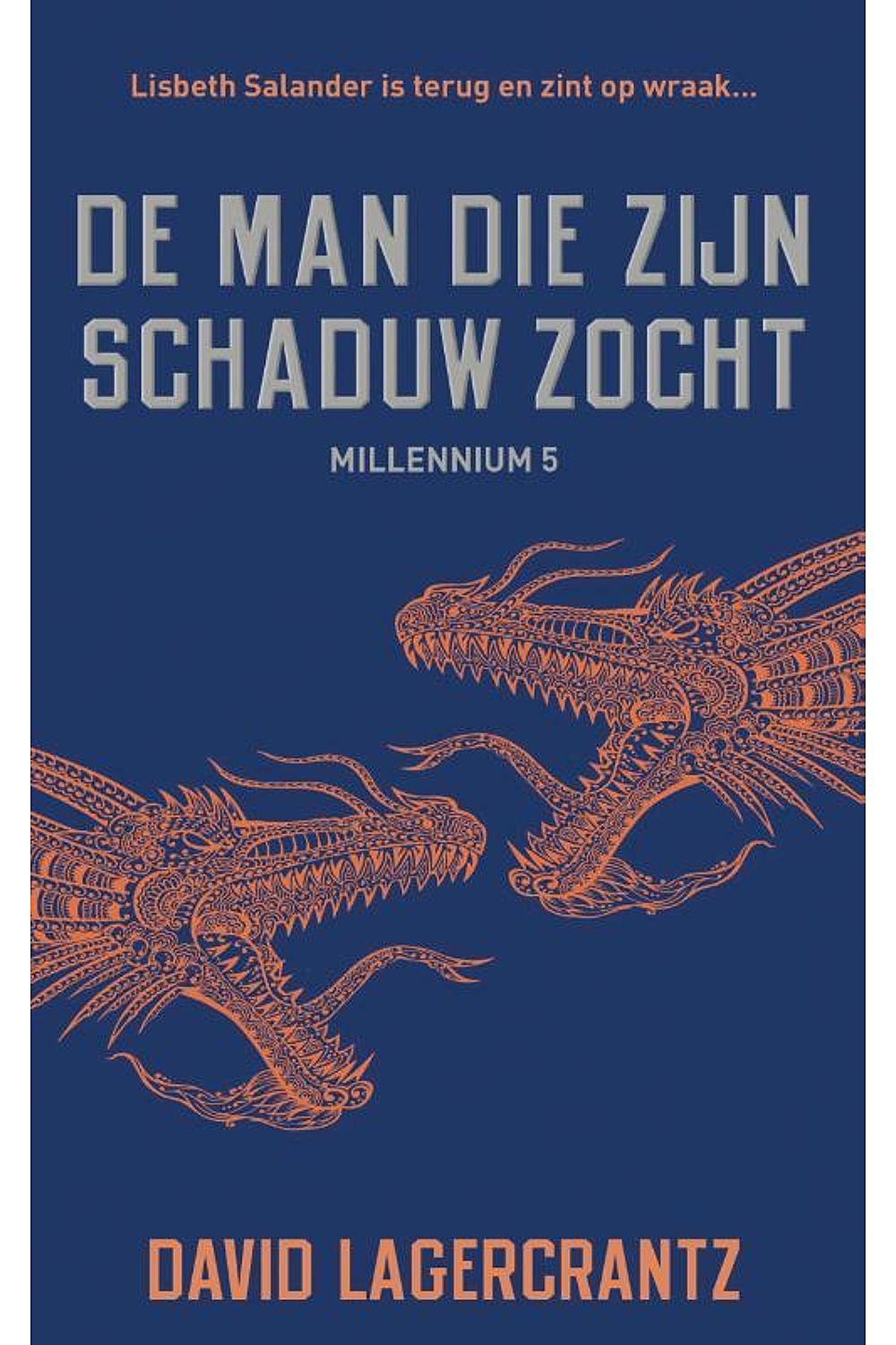De man die zijn schaduw zocht