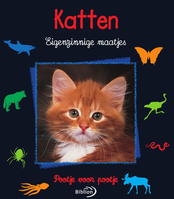 Katten