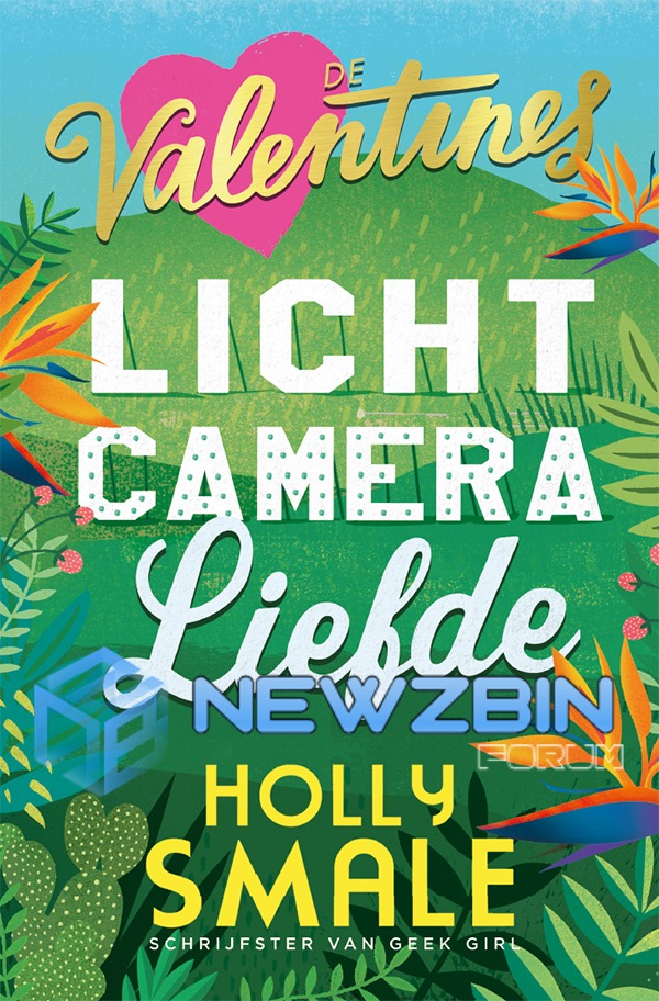 De Valentines 1 - Licht, Camera, Liefde