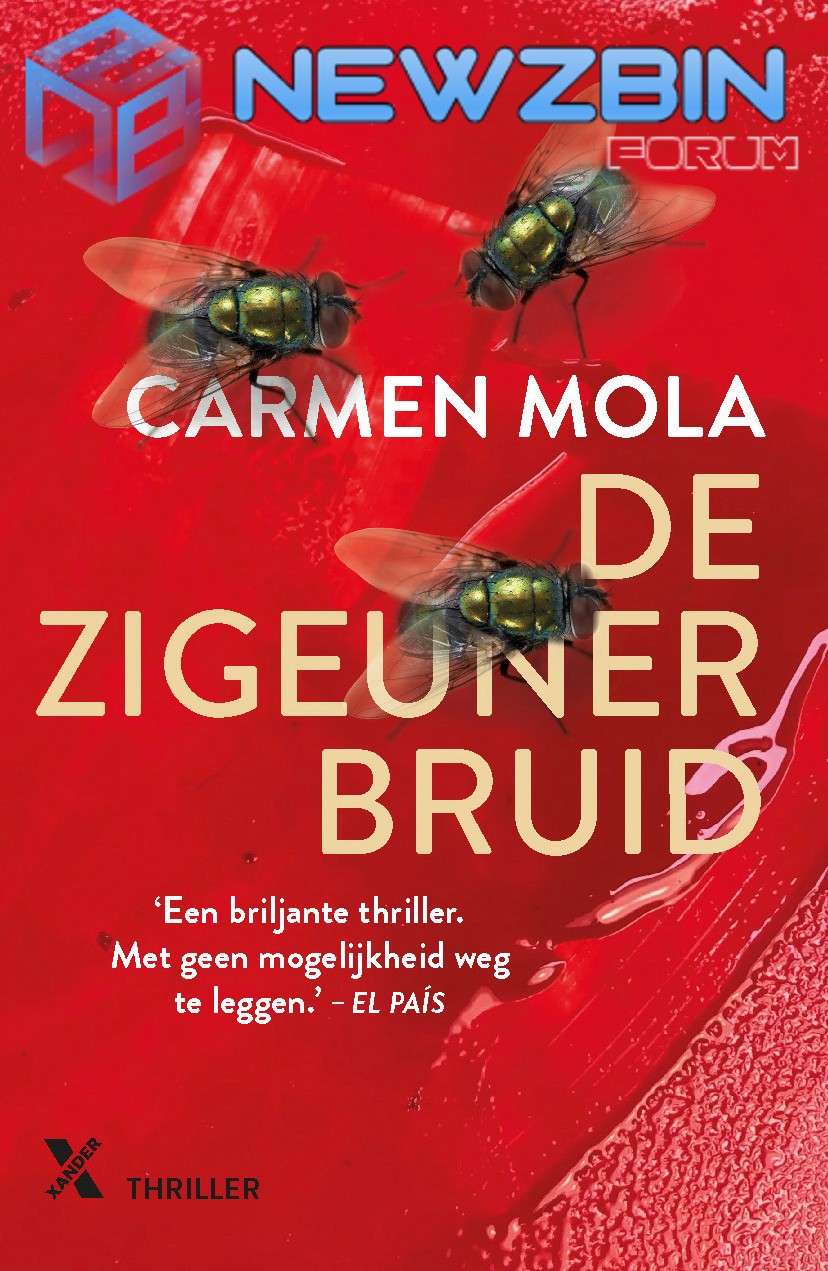 De zigeunerbruid