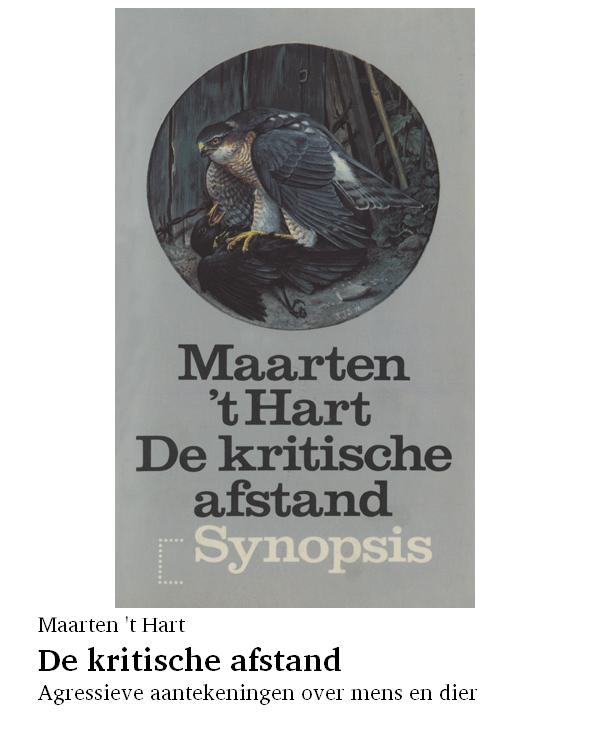 De kritische afstand