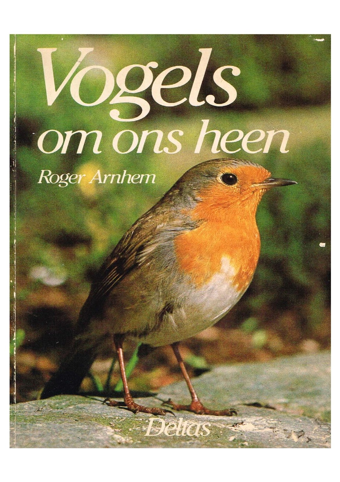 Arnhem, Roger