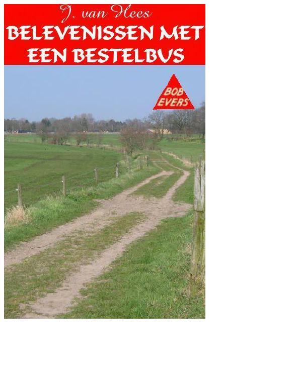 Belevenissen met een bestelbus