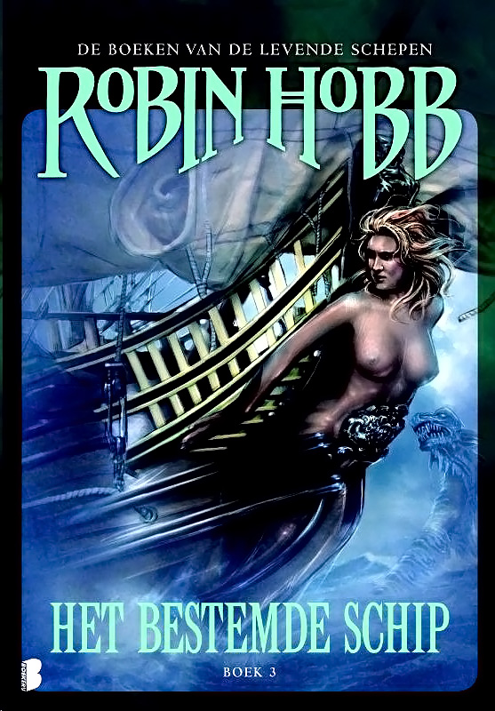 Het bestemde schip