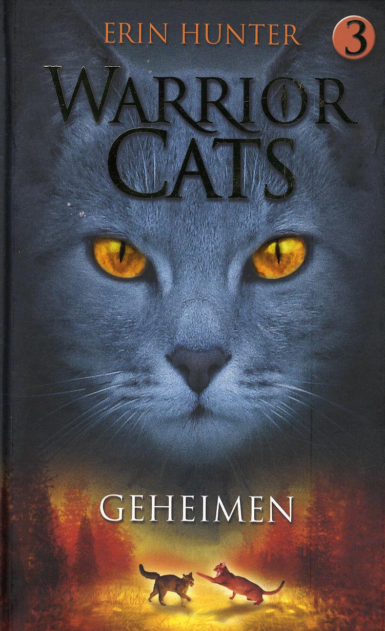 Geheimen
