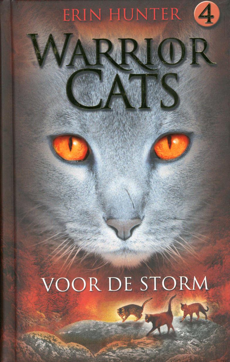 Voor De Storm
