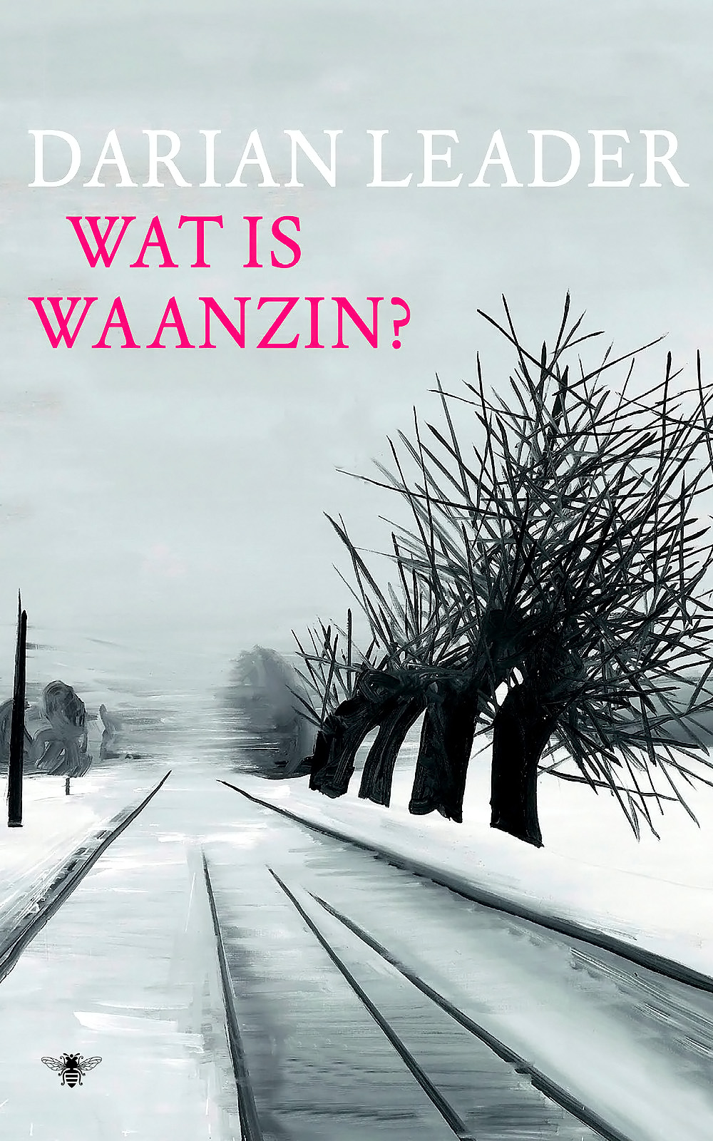 Wat is waanzin