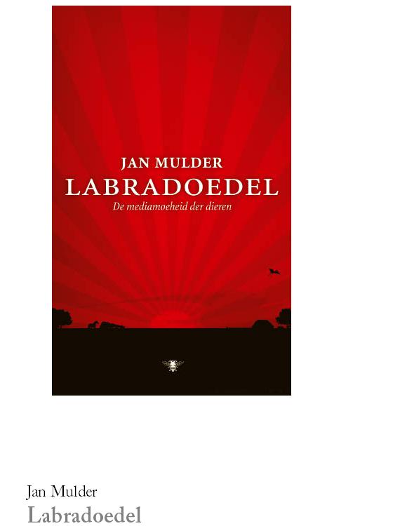 Labradoedel