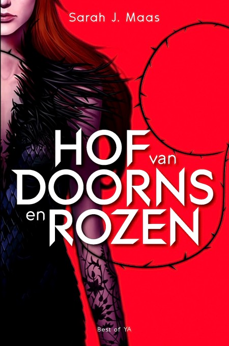 Hof van doorns en roze
