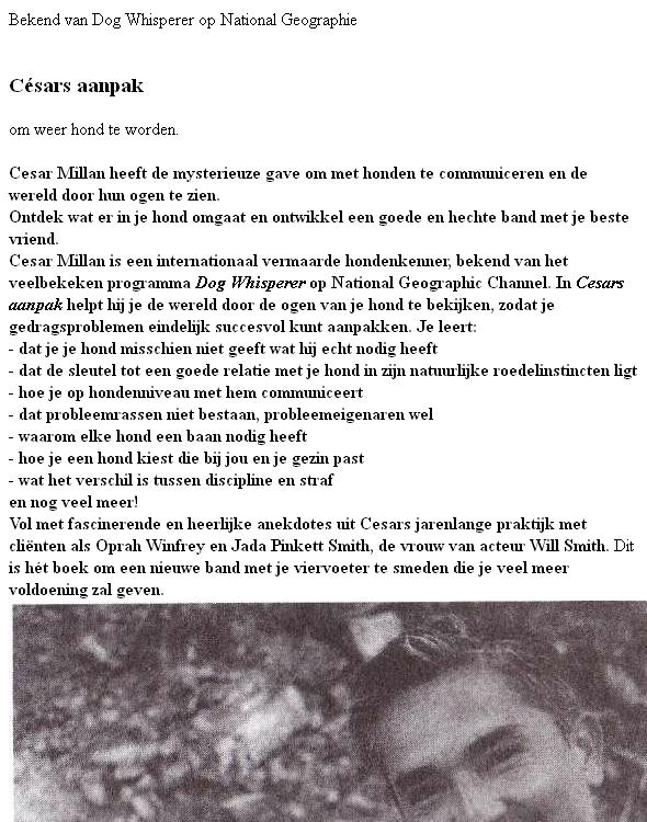 Cesars Aanpak