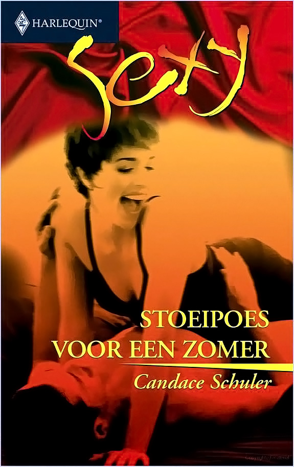 Stoeipoes voor een zomer
