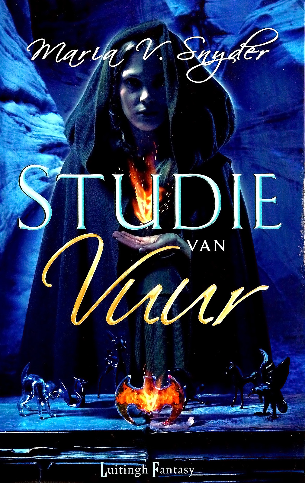 Studie van Vuur
