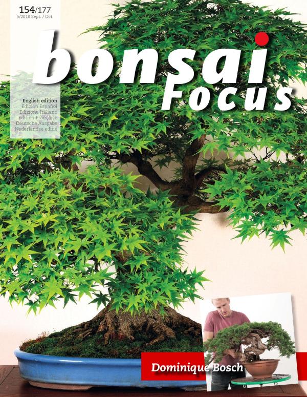 Bonsai.Focus-September.October.2018