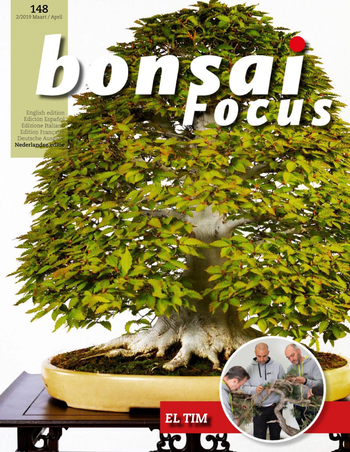 2019-03-01 Bonsai Focus Dutch Edition
