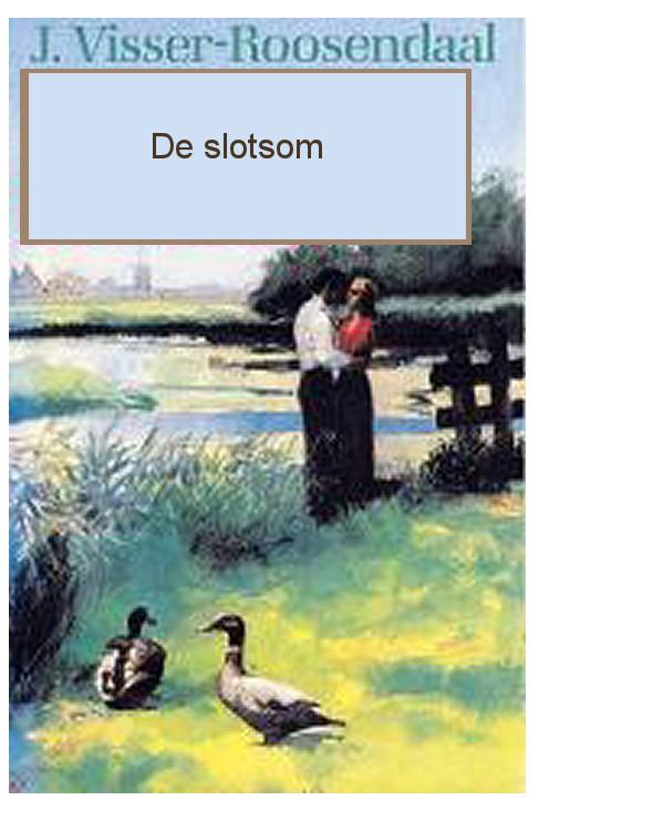 Zeilemaker 03 De Slotsom
