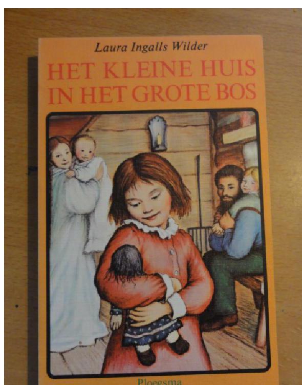 In Het Grote Bos